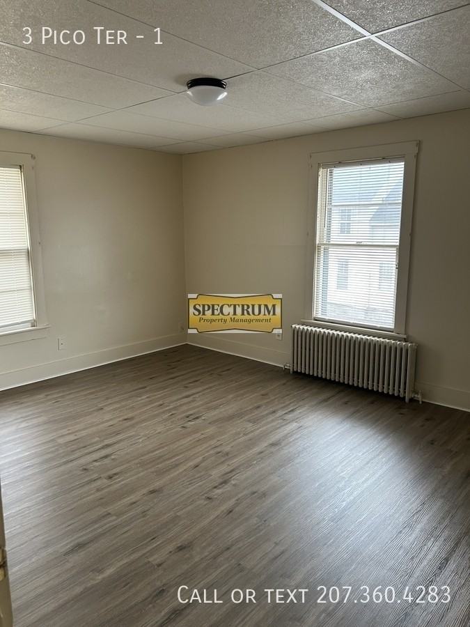 3 Pico Ter #1 - Photo 3 of 8