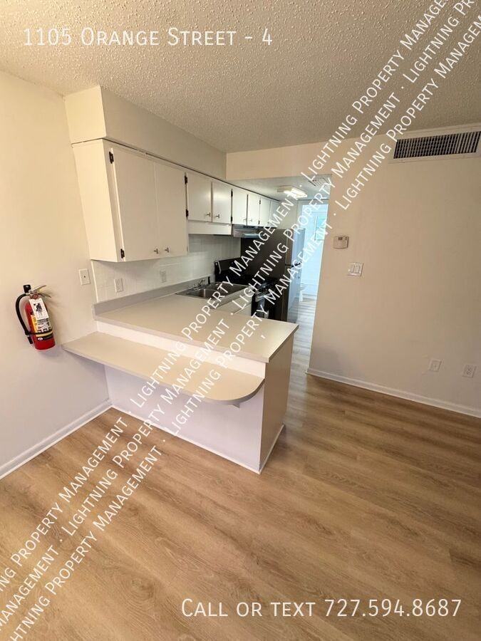 1105 E Orange St #4 - Photo 4 of 7