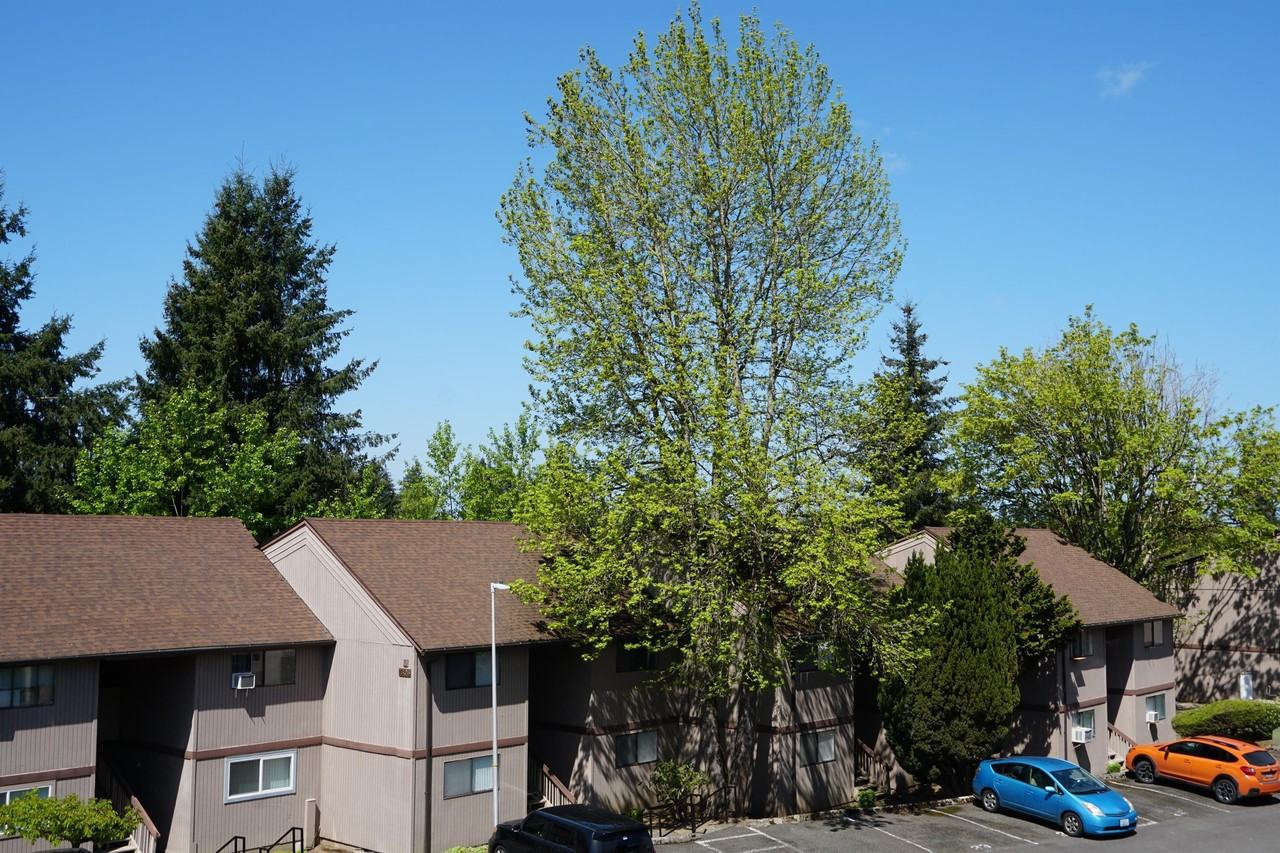 Ridgecrest Apts - Photo 7 of 13