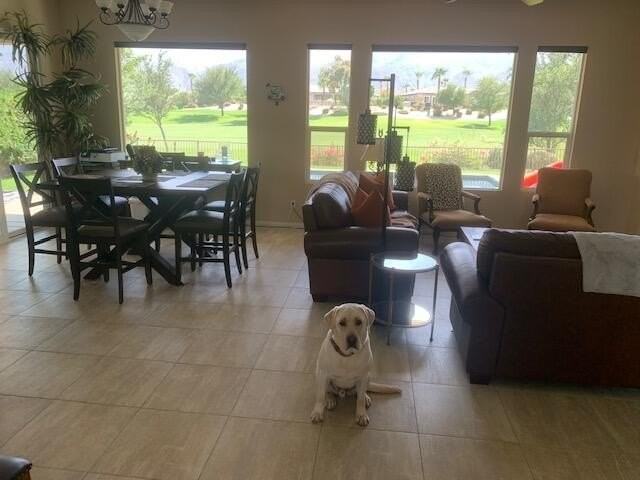 81225 Red Rock Rd - Photo 2 of 13