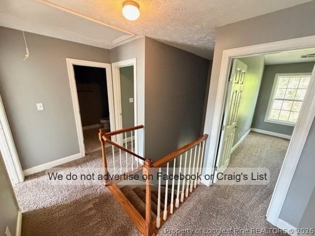 311 Willborough Ave - Photo 7 of 16