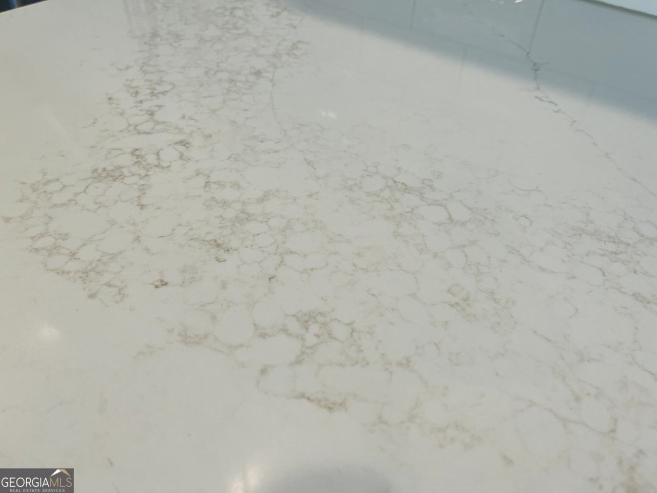 105 Gardenia Ln #105A - Photo 6 of 19