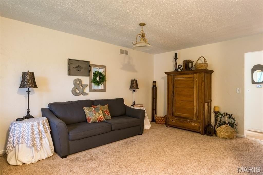 115 Meadow Ln S - Photo 3 of 15