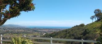 31456 Flying Cloud Dr - Photo 1 of 1