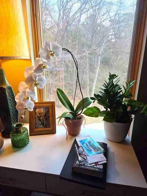 831 S French Ave #1 - Photo 7 of 10