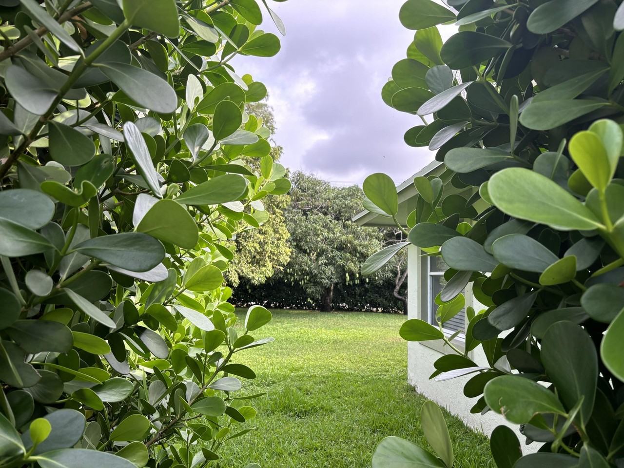 1094 Raintree Ln - Photo 3 of 29