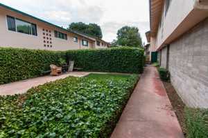 featured image of 785 Roble Ave