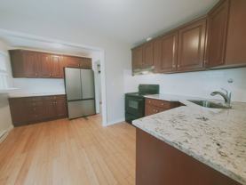 7 Chatfield St #1 - Photo 1 of 1