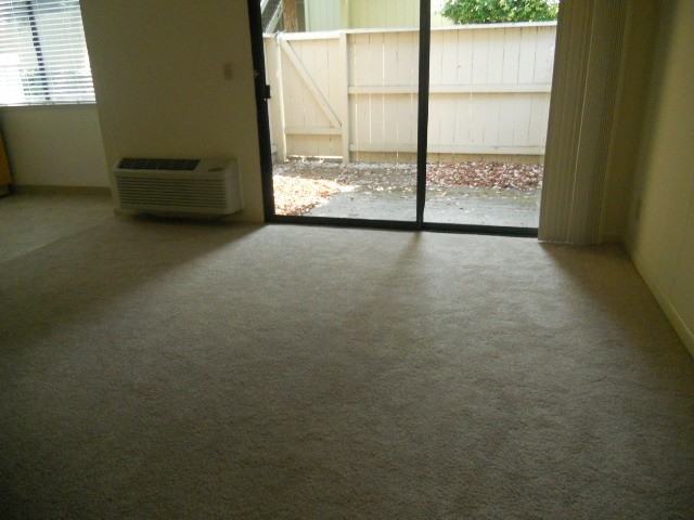 944 Kiely Blvd #F - Photo 5 of 11