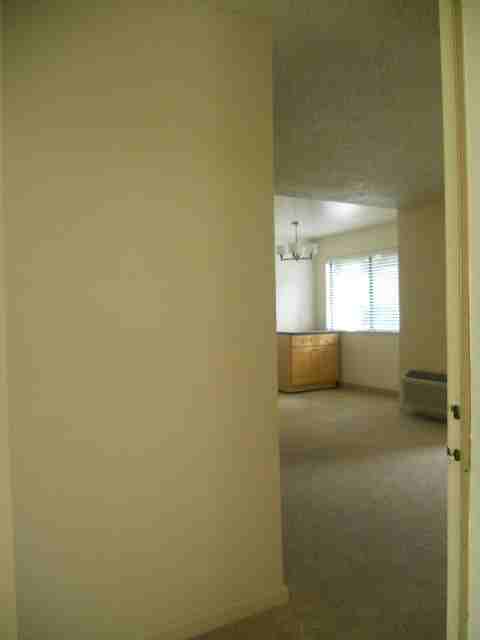 944 Kiely Blvd #F - Photo 7 of 11