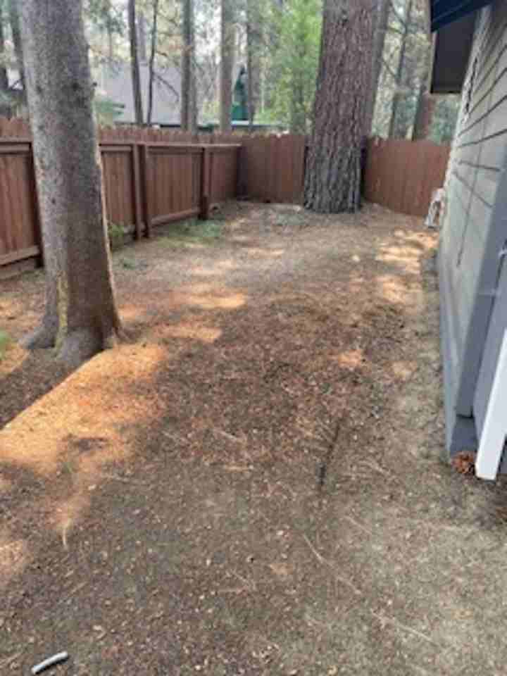 909 Secret Harbor Dr - Photo 3 of 15