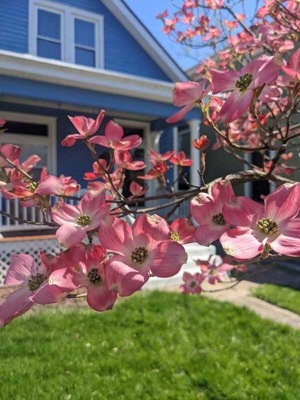 3742 Kenilworth Pl - Photo 3 of 20