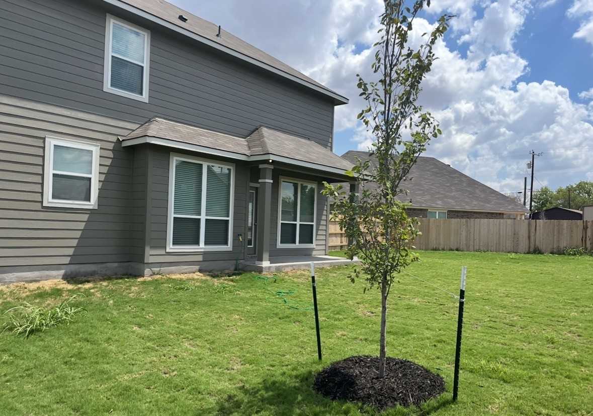 908 Mclaury Cv - Photo 4 of 5