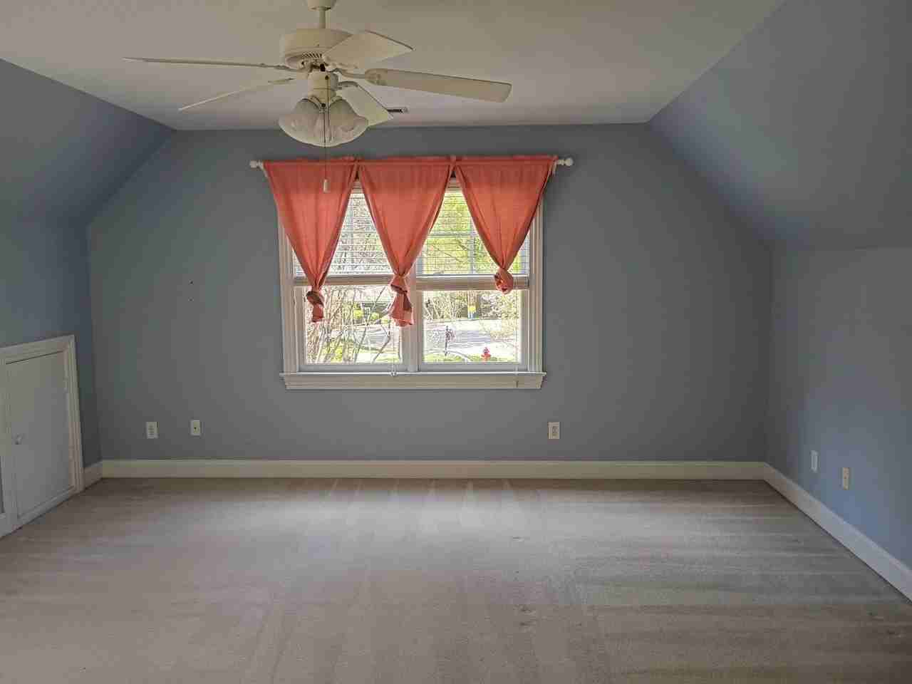 273 Brown Bear - Photo 4 of 28