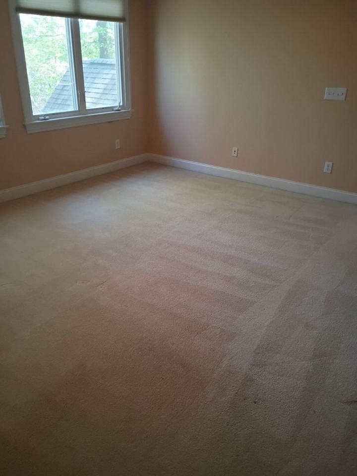 273 Brown Bear - Photo 5 of 28