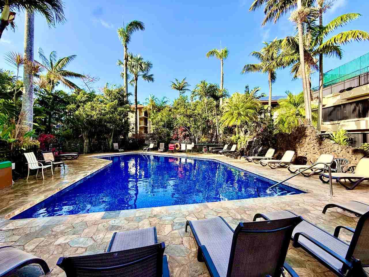 5061 Lawai Rd #131 - Photo 3 of 14