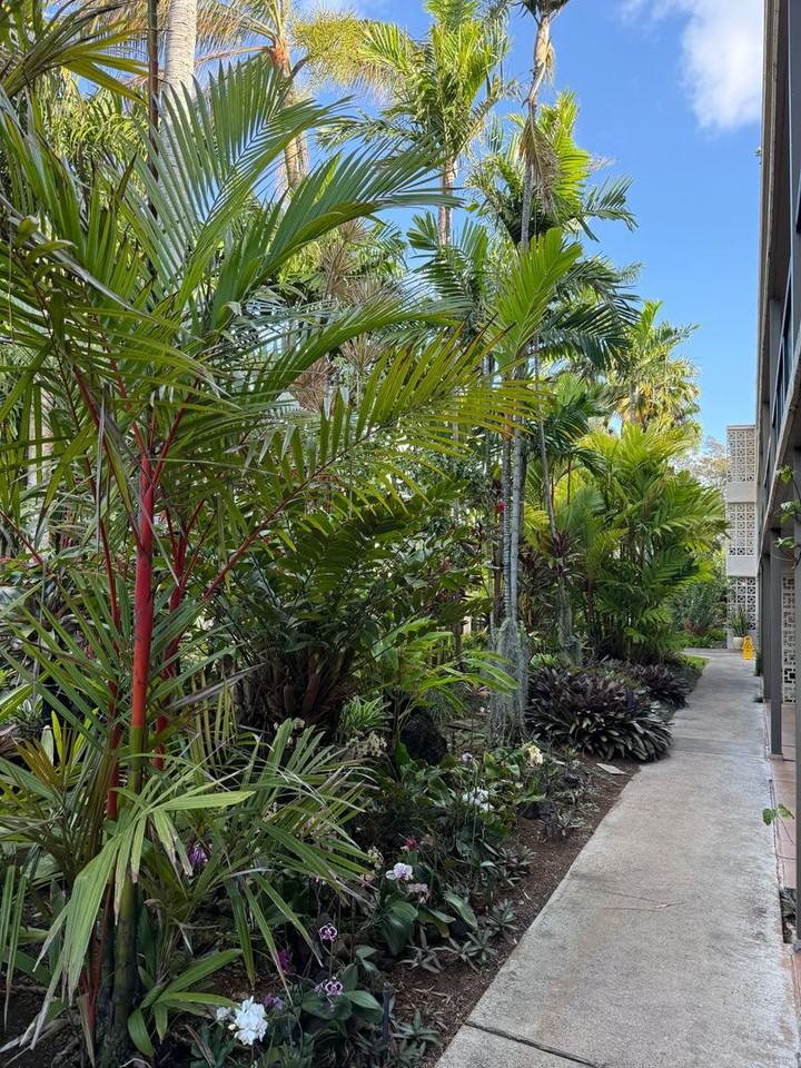 5061 Lawai Rd #131 - Photo 7 of 14