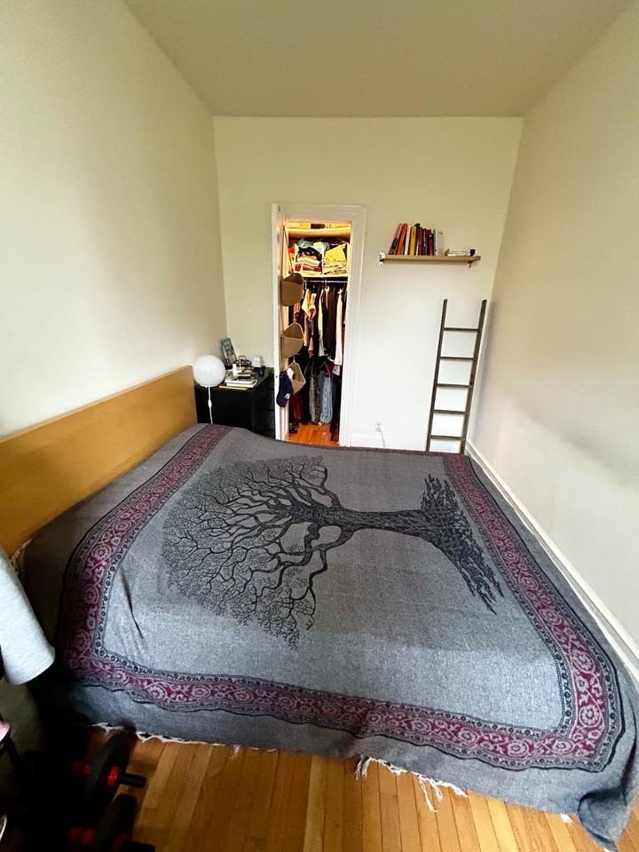 329 W 88th St #4S - Photo 6 of 6