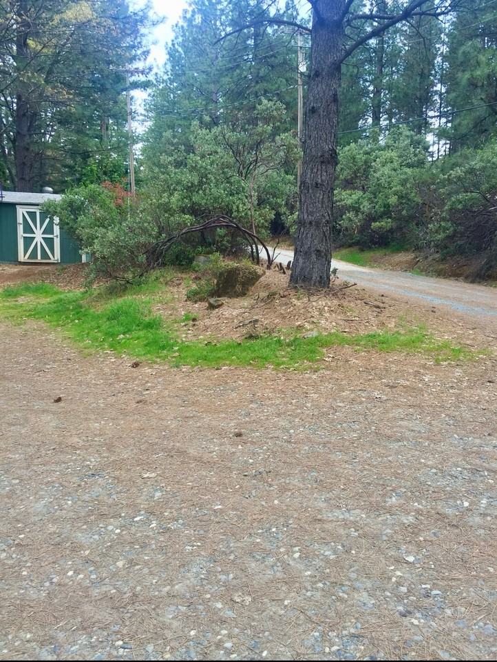 14720 Lynshar Rd #1 - Photo 2 of 8