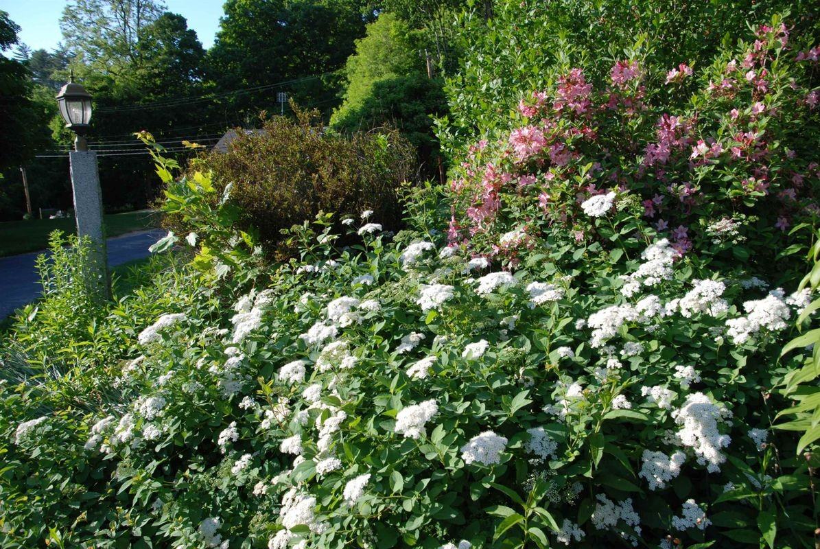 285 E Side Dr - Photo 4 of 19