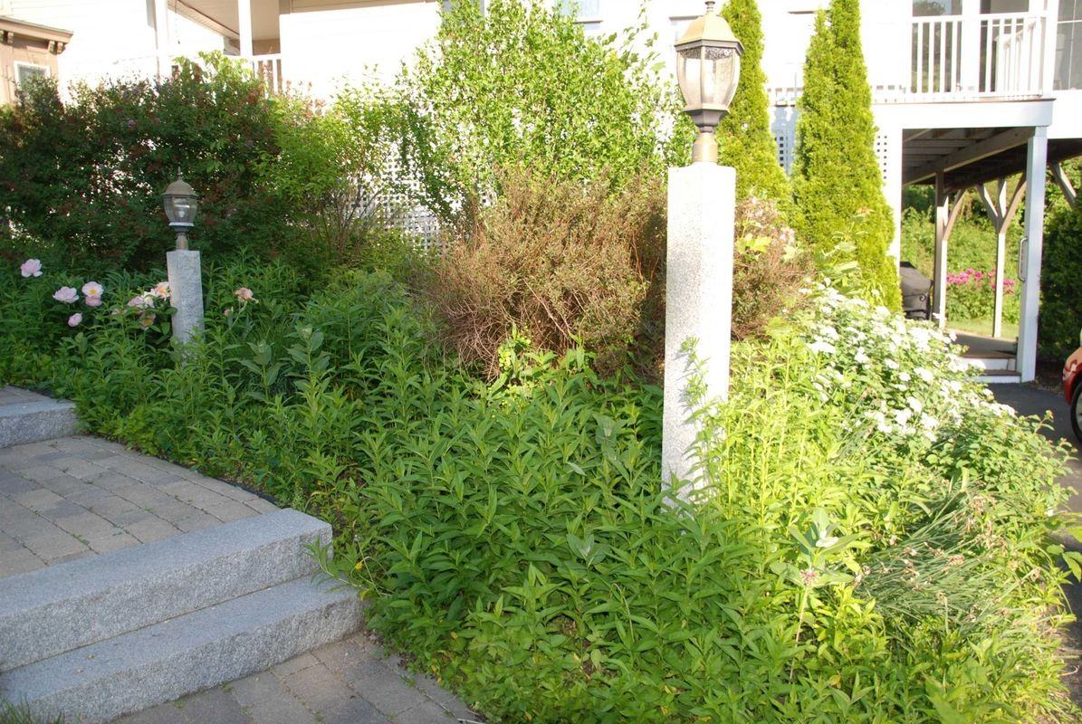 285 E Side Dr - Photo 5 of 19