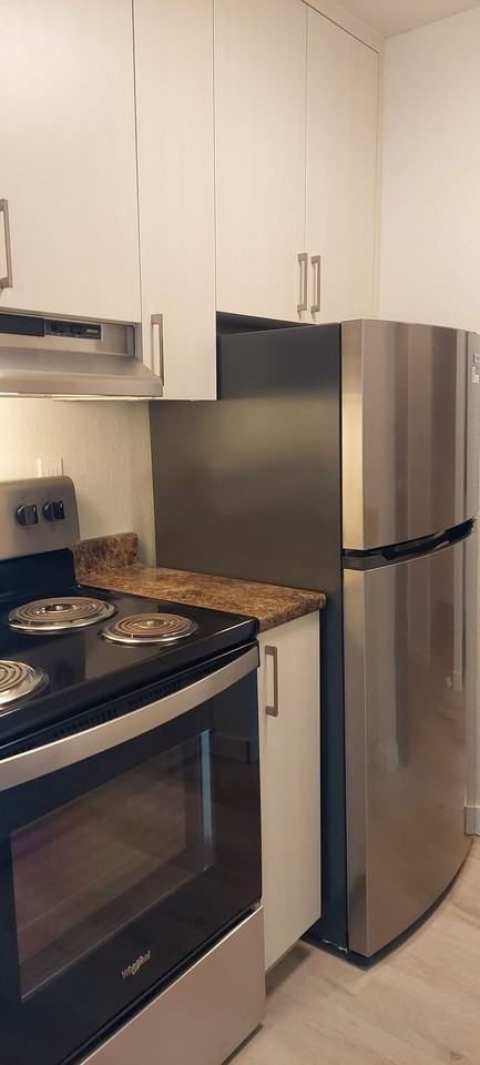 Wild Rose Apartments - Photo 4 of 10