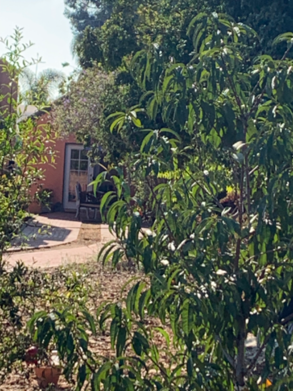 692 2nd Ave - Photo 5 of 7