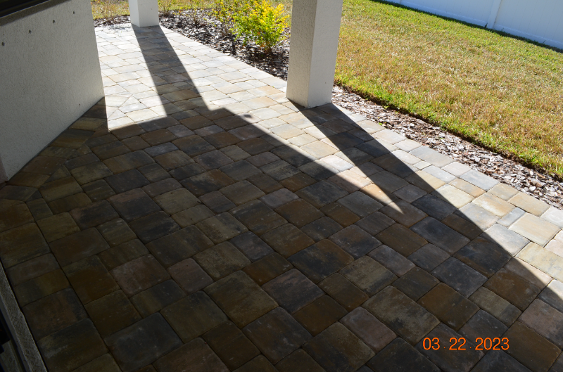 3511 Wild Blossom Pl - Photo 6 of 26