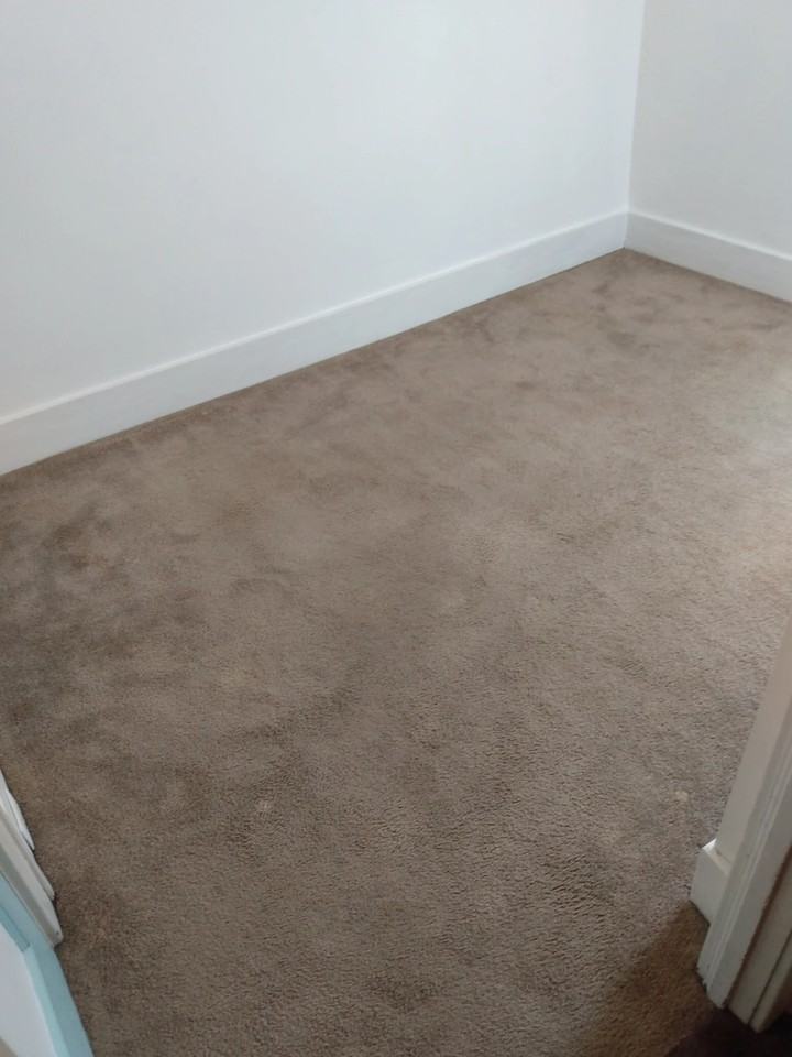 264 W 16th St - Photo 5 of 16