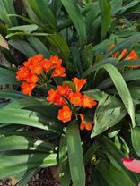 35640 Capitola Ct - Photo 1 of 1