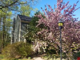 11822 Great Owl Cir - Photo 1 of 1