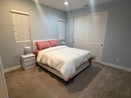 featured image of 161 Coyote Brush