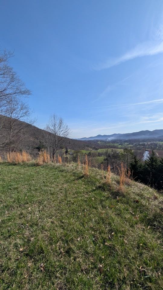 345 Moorehill Dr #NA - Photo 4 of 18