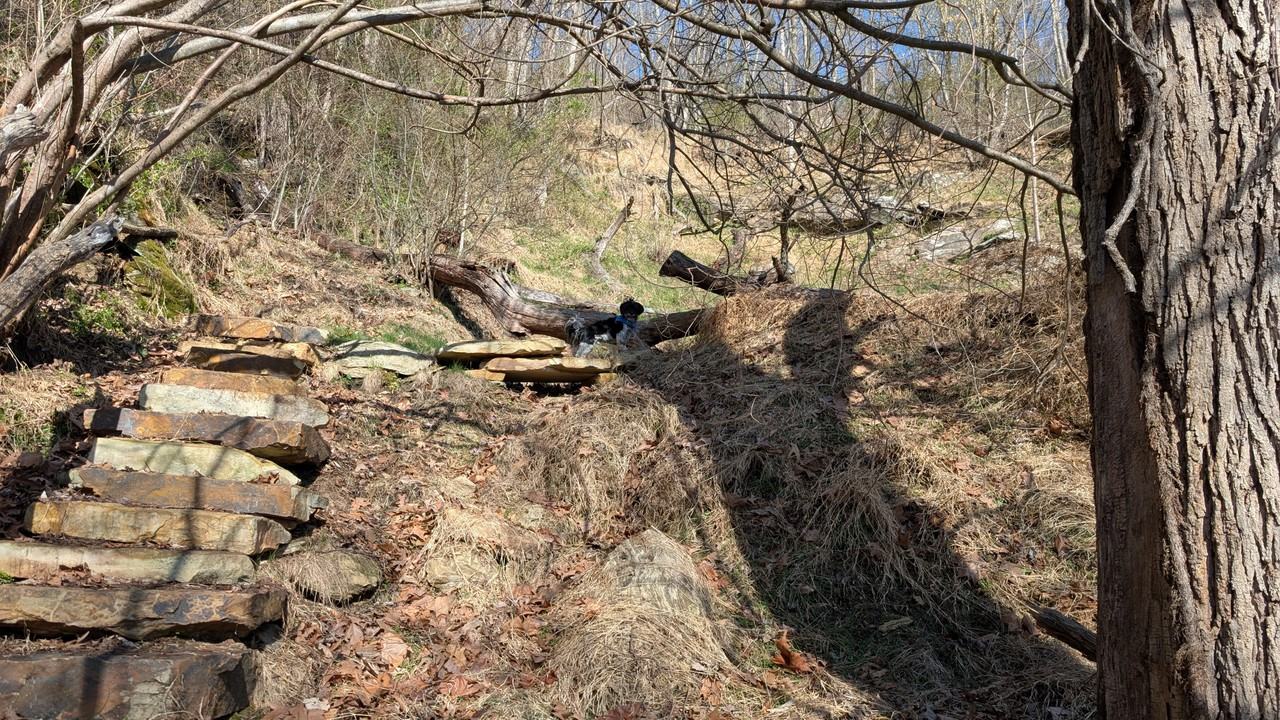 345 Moorehill Dr #NA - Photo 5 of 18