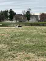 featured image of 4299 Hawthorne Farms Rd #A