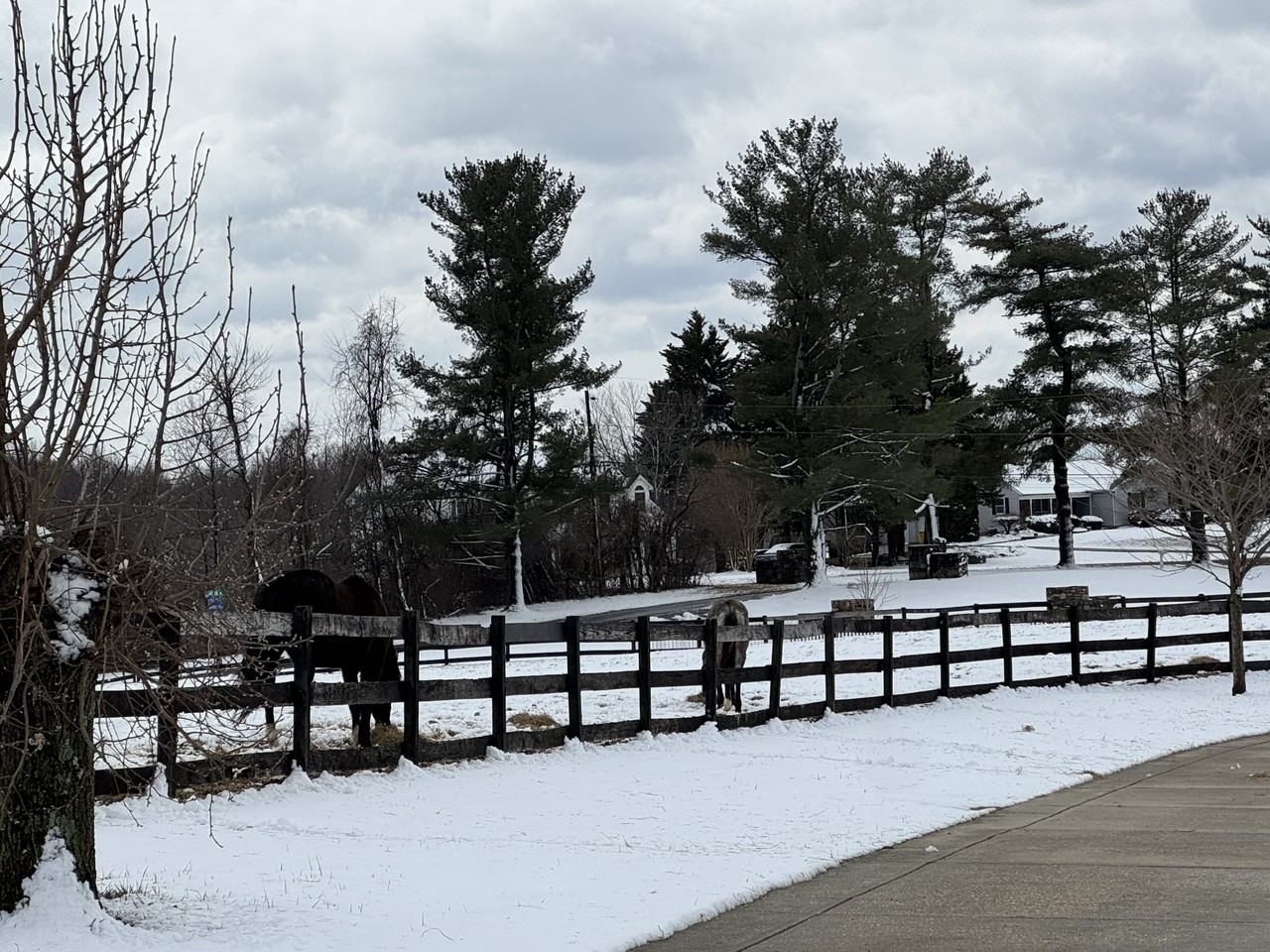 4299 Hawthorne Farms Rd #A - Photo 6 of 17