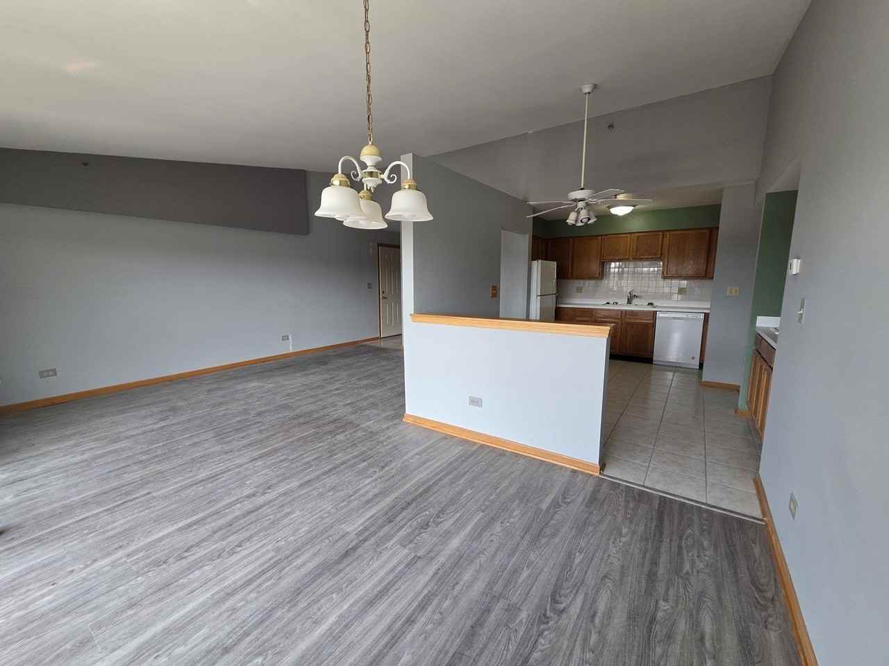 1028 Ashley Ct N Apt 3c - Photo 5 of 20