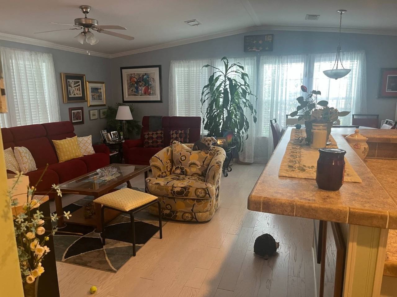 5904 Sw 59th Ln - Photo 5 of 15