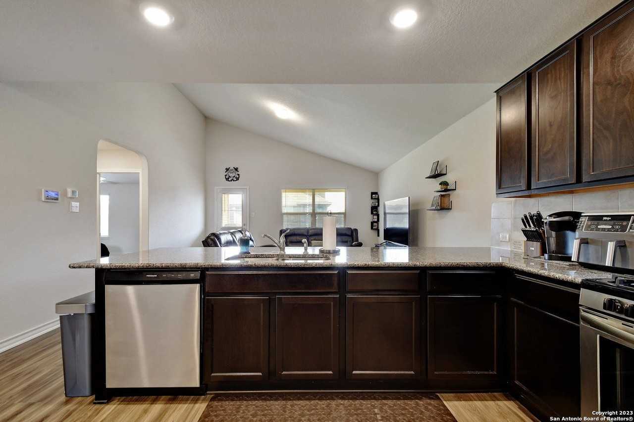 822 Brown Thrasher - Photo 5 of 29