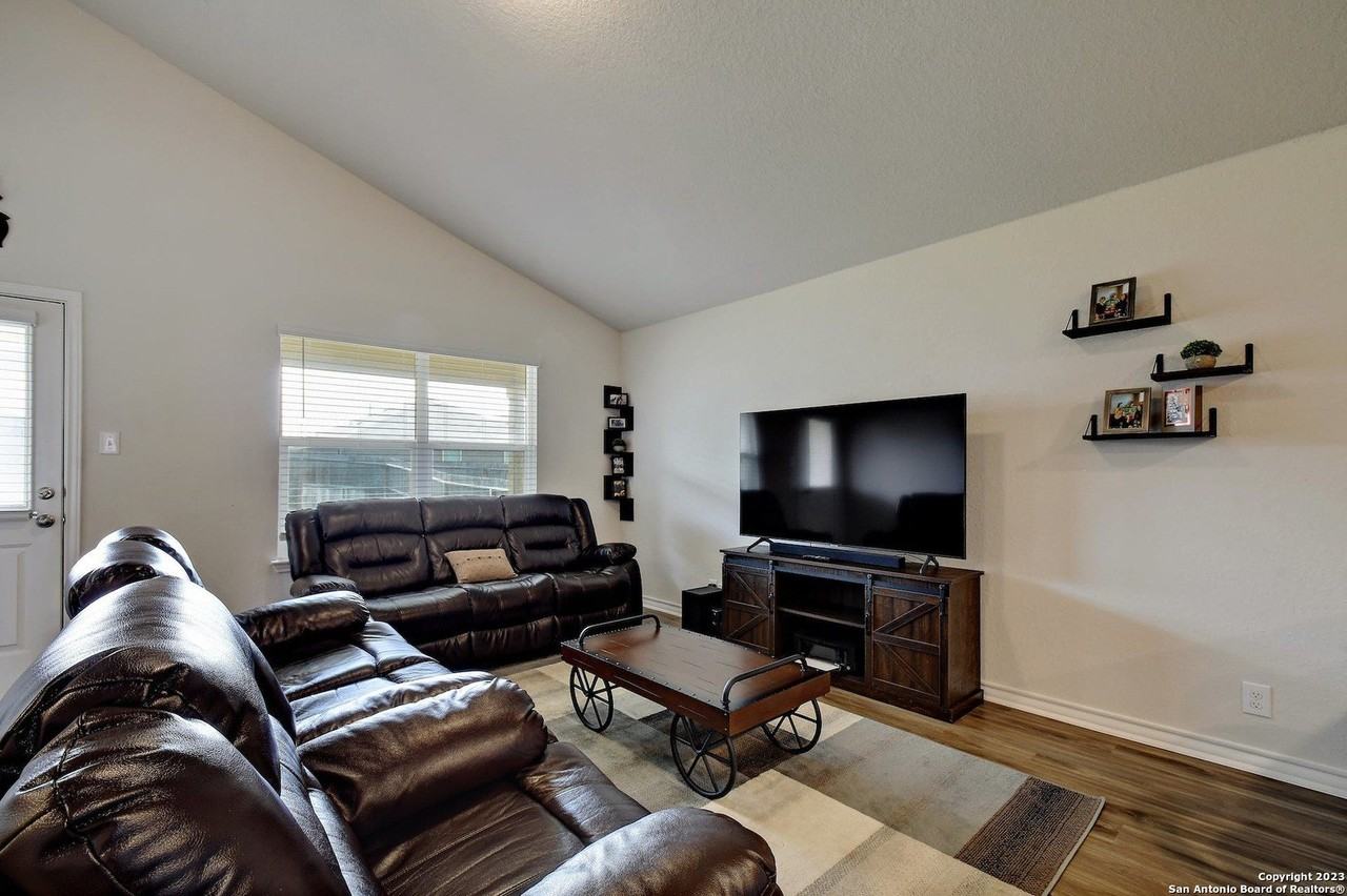 822 Brown Thrasher - Photo 6 of 29