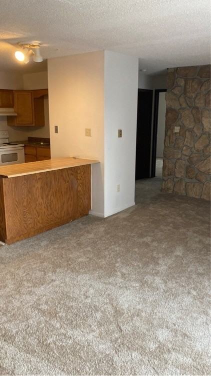 1400 Pioneer Road - Photo 5 of 16