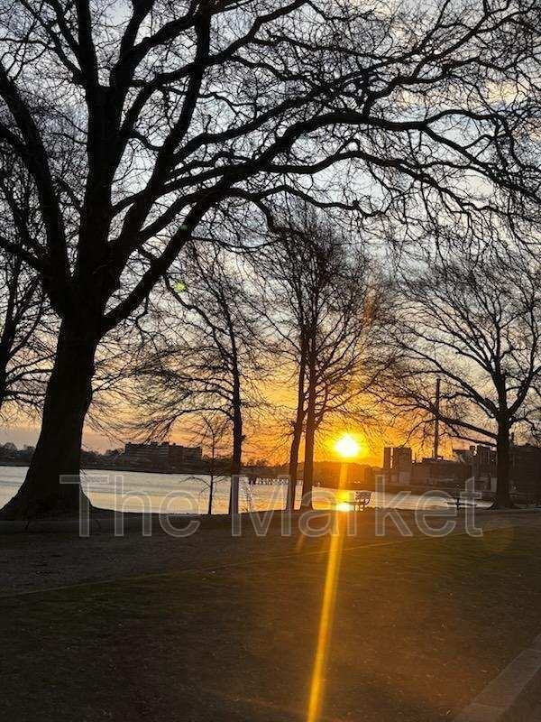 75 Avalon Ave - Photo 4 of 13