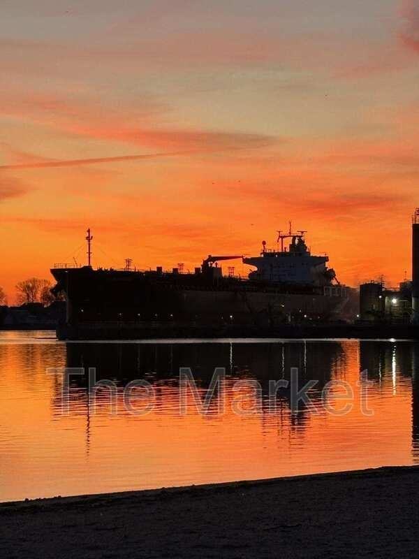 75 Avalon Ave - Photo 6 of 13