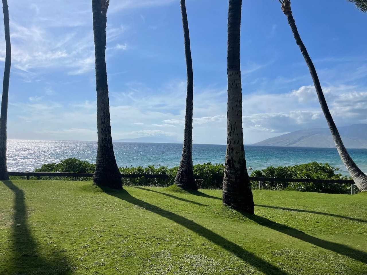 679 S Kihei Rd #1035895P - Photo 7 of 50