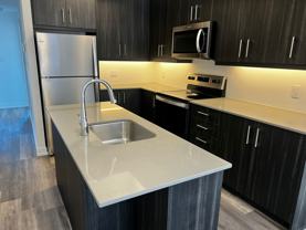 20 Palace Street #G7 - Photo 1 of 1