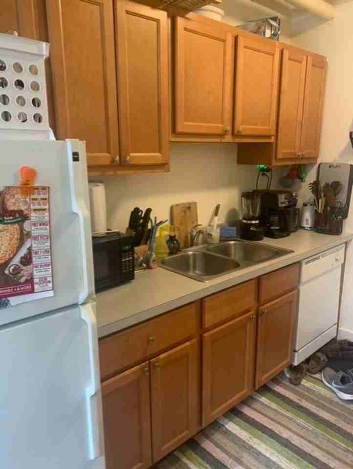 923 W George St #1J - Photo 2 of 11