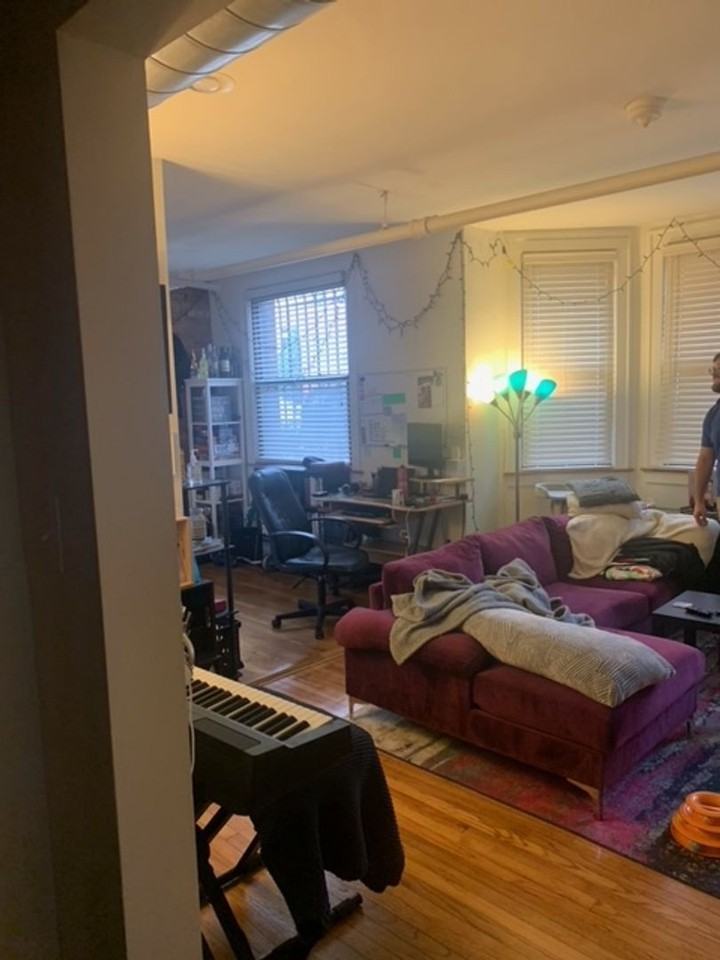 923 W George St #1J - Photo 3 of 11