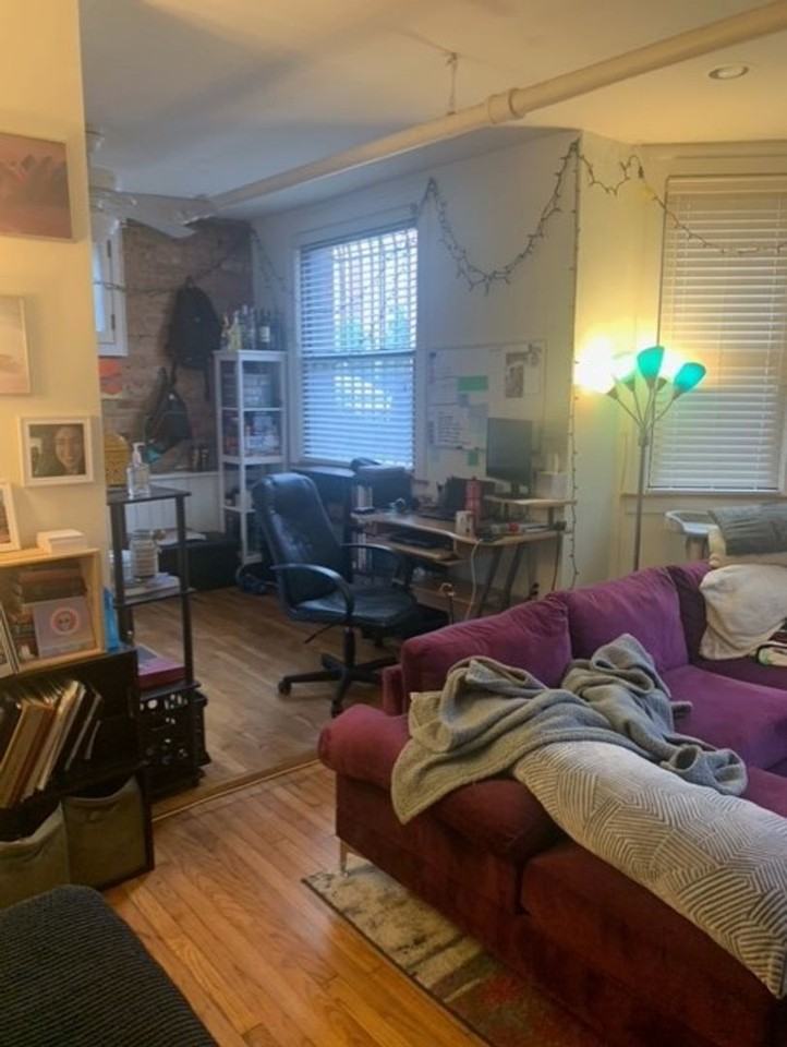 923 W George St #1J - Photo 4 of 11