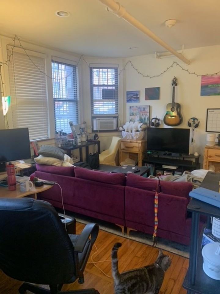 923 W George St #1J - Photo 5 of 11