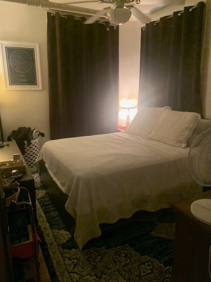 923 W George St #1J - Photo 6 of 11